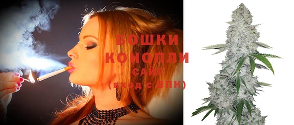 твердый Козельск
