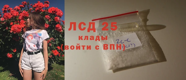 твердый Козельск