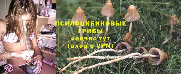 MESCALINE Кодинск