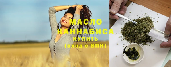 твердый Козельск