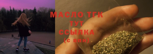 твердый Козельск