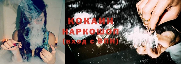 твердый Козельск