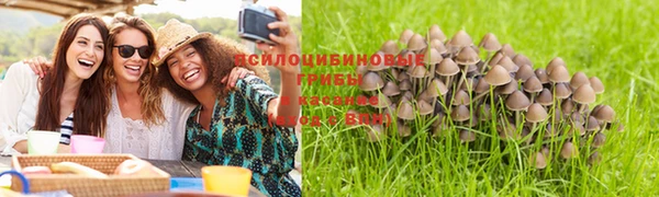 мяу мяу кристалл Козловка