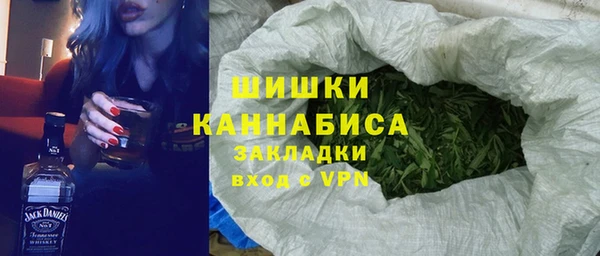 твердый Козельск