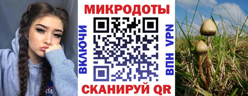 Купить закладки  Верхняя Пышма  Галлюциногенные грибы Psilocybine cubensis 